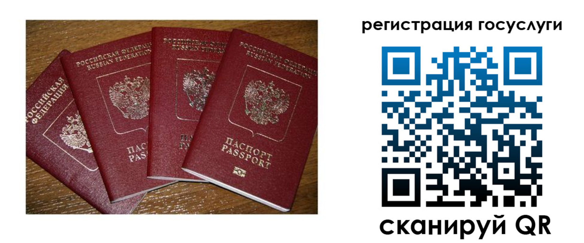 временная регистрация гарантия в Болотном