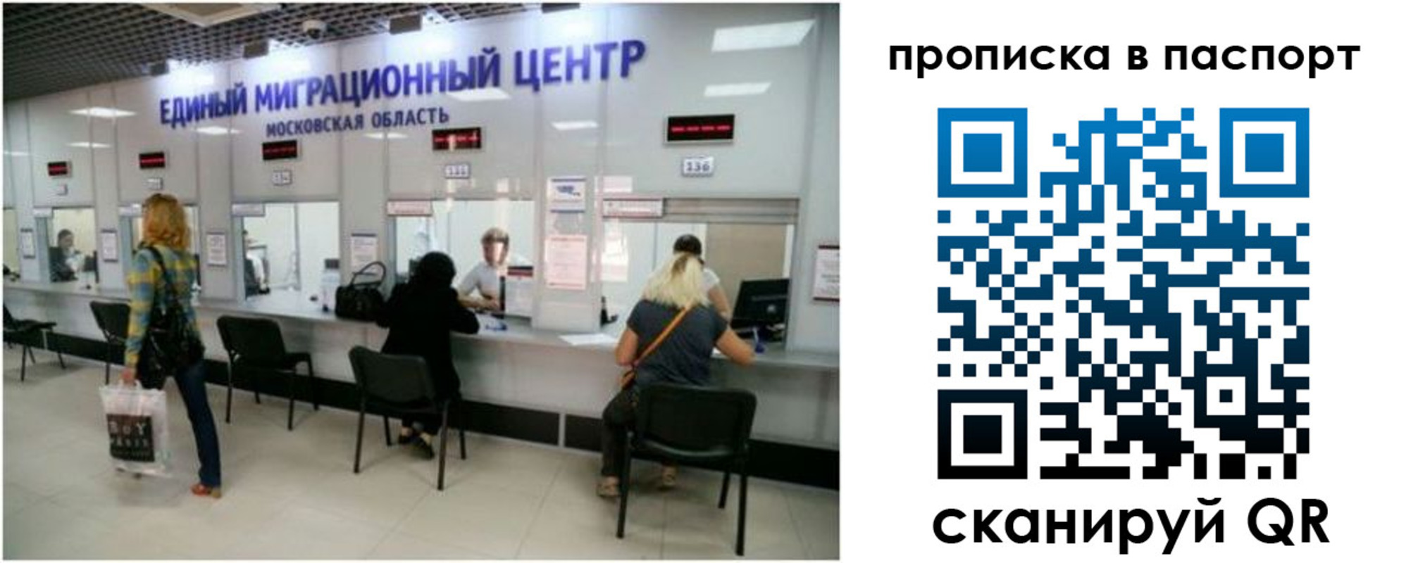 прописка в Болотном